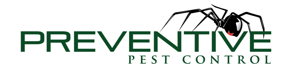 Controlling Fleas in the Home | Preventive Pest Control St. George