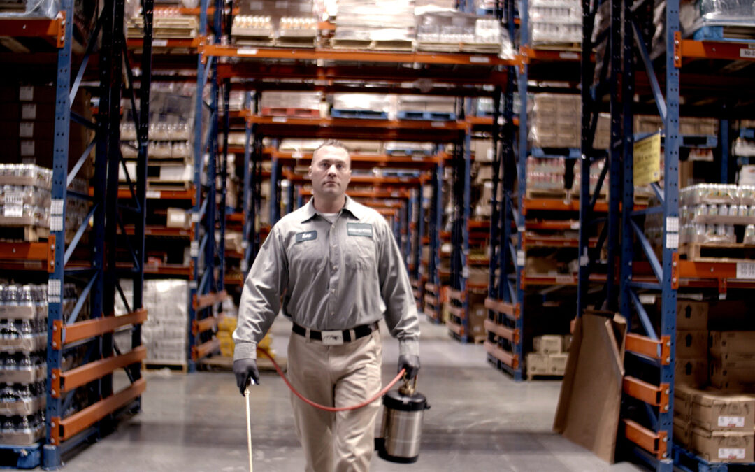 Why DIY Pest Control Often Misses Hidden Infestations