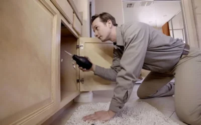 Common Entry Points Pests Use To Invade Your Home